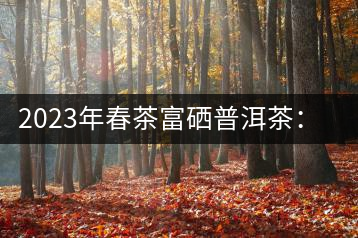 2023年春茶富硒普洱茶：1.富硒有機(jī)手工生普，市場(chǎng)指導(dǎo)價(jià)800元／公斤；2.富硒有機(jī)一級(jí)紅茶，市場(chǎng)指導(dǎo)價(jià)800元／公斤；3.富硒有機(jī)熟普餅，市場(chǎng)指導(dǎo)價(jià)1000元／公斤；4.富硒有機(jī)月光白茶，市場(chǎng)指導(dǎo)價(jià)800元／公斤。