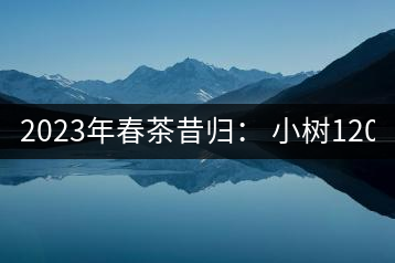 2023年春茶昔歸： 小樹1200-1600元／公斤，大樹4500-5200元／公斤，古樹7500-9000元／公斤.