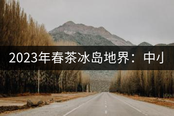 2023年春茶冰島地界：中小樹1300-1500元／公斤，古樹2200~2500元／公斤