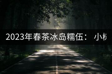 2023年春茶冰島糯伍： 小樹1300元／公斤，古樹：2100~2300元／公斤
