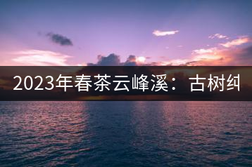 2023年春茶云峰溪：古樹純料：1200-1500元／公斤，古樹混采800-1000元／公斤，大樹500-800元／公斤，小樹300-500元／公斤