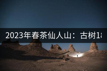 2023年春茶仙人山：古樹1800-2500元／公斤，老曼峨：小樹：600元／公斤 1600-1800元／公斤