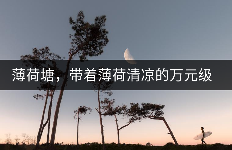 薄荷塘，帶著薄荷清涼的萬(wàn)元級(jí)普洱