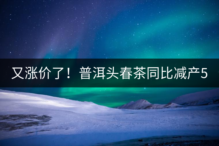 又漲價(jià)了！普洱頭春茶同比減產(chǎn)50%，薄荷塘一類(lèi)鮮葉需當(dāng)面議價(jià)
