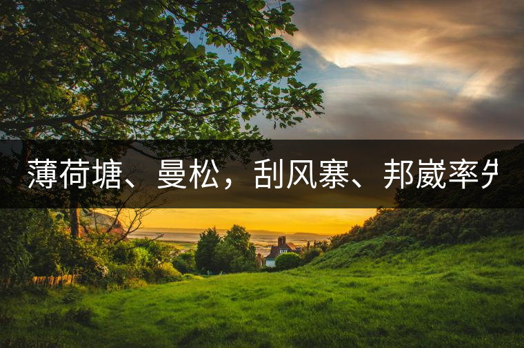 薄荷塘、曼松，刮風(fēng)寨、邦崴率先開采，2019普洱春季大戰(zhàn)開始了