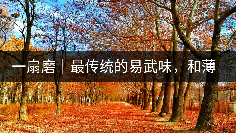 一扇磨｜最傳統(tǒng)的易武味，和薄荷塘一脈同宗，價格卻天差地別