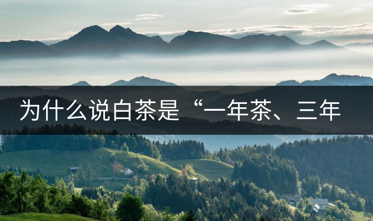 為什么說白茶是“一年茶、三年藥、七年寶”?為什么說白茶是“一年茶、三年藥、七年寶”？