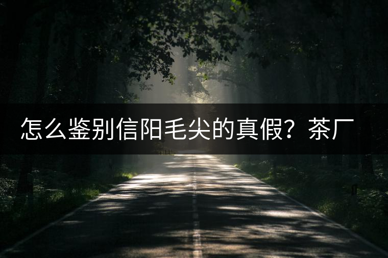 怎么鑒別信陽毛尖的真假？茶廠小姐姐親自告訴你茶葉的等級(jí)
