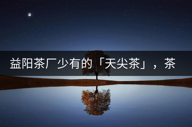 益陽茶廠少有的「天尖茶」，茶品升級，收藏趁早！