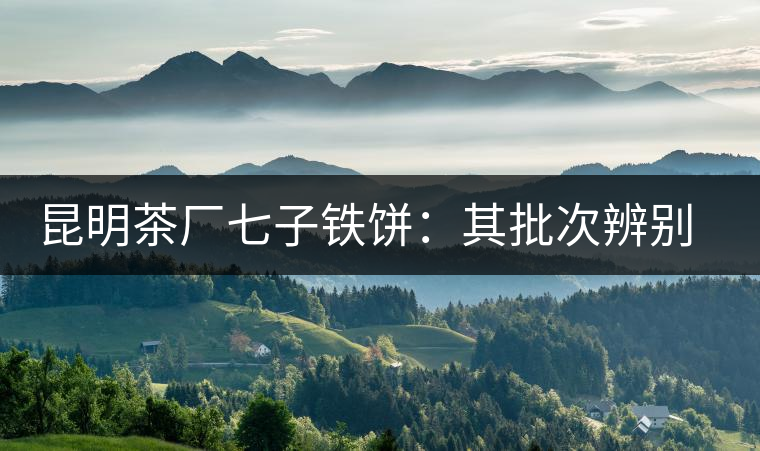 昆明茶廠七子鐵餅：其批次辨別、配方、年份大盤點(diǎn)！