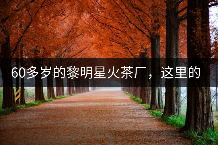 60多歲的黎明星火茶廠，這里的人依然在做茶