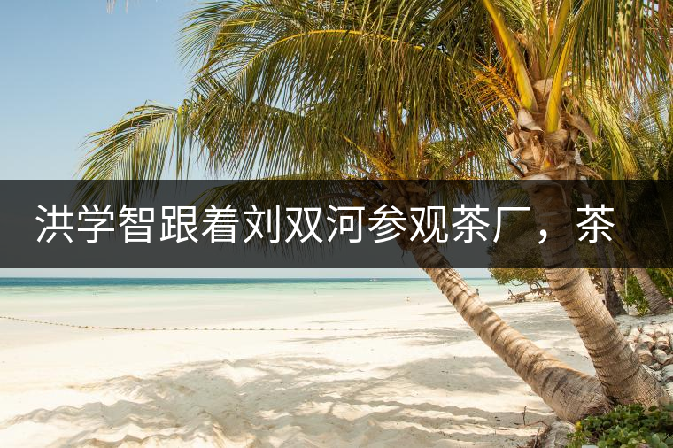 洪學智跟著劉雙河參觀茶廠，茶廠黃老板對賣苦力的百姓百般欺凌