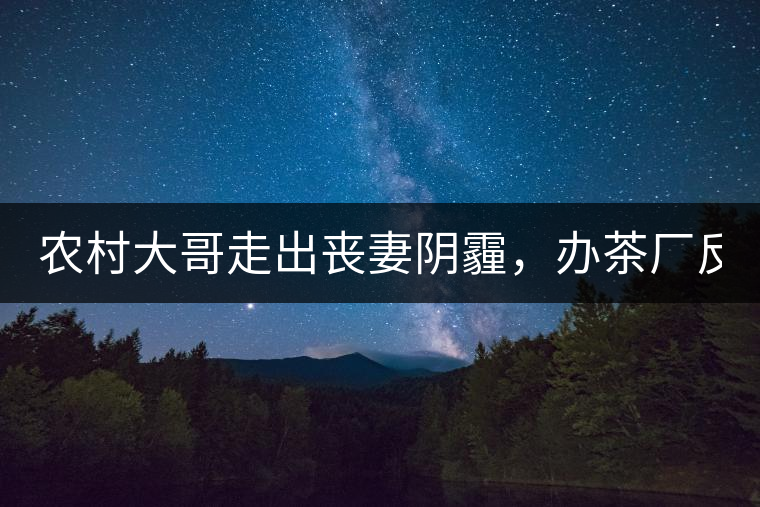 農(nóng)村大哥走出喪妻陰霾，辦茶廠反哺鄉(xiāng)鄰，每天處理鮮葉4000斤