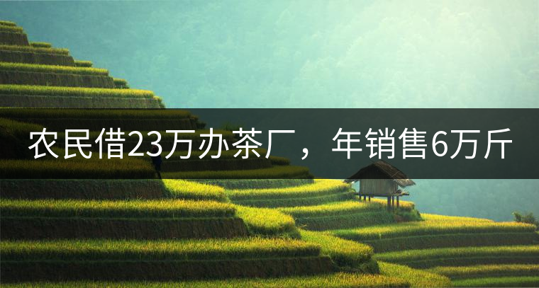 農(nóng)民借23萬辦茶廠，年銷售6萬斤，每天休息僅20分鐘!農(nóng)民借23萬辦茶廠，年銷售6萬斤，每天休息僅20分鐘！