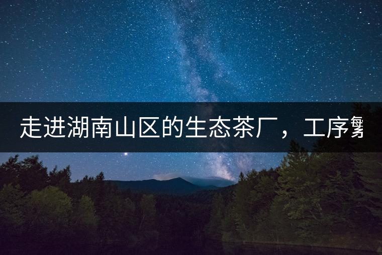 走進湖南山區(qū)的生態(tài)茶廠，工序繁雜精細，538塊錢1斤真值走進湖南山區(qū)的生態(tài)茶廠，工序繁雜精細，538塊錢1斤真值