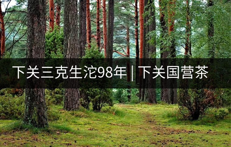 下關三克生沱98年 | 下關國營茶廠出口料，干倉儲存，...下關三克生沱98年 | 下關國營茶廠出口料，干倉儲存，19年老茶！