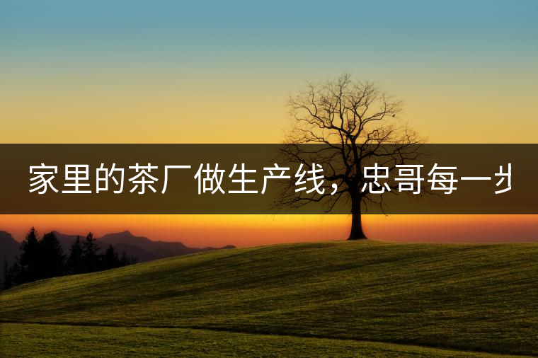 家里的茶廠做生產(chǎn)線，忠哥每一步都親自做，每個(gè)步驟...家里的茶廠做生產(chǎn)線，忠哥每一步都親自做，每個(gè)步驟都非常嚴(yán)謹(jǐn)！