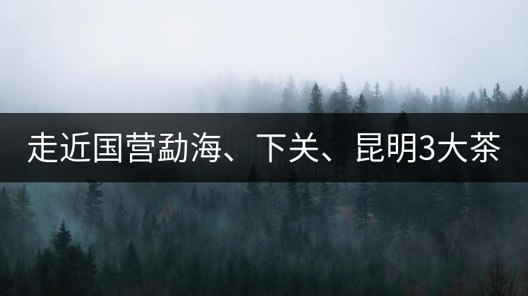 走近國營勐海、下關、昆明3大茶廠，傳世代表作的發(fā)展詳...走近國營勐海、下關、昆明3大茶廠，傳世代表作的發(fā)展詳解