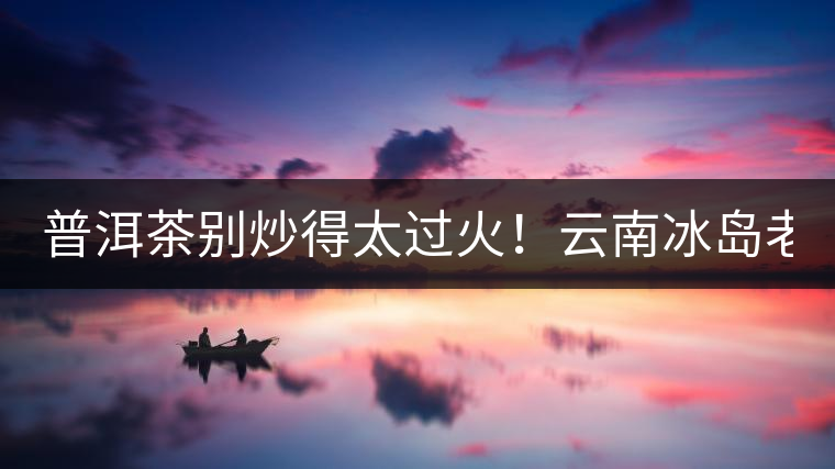 普洱茶別炒得太過火！云南冰島老寨“茶王樹”采摘權88萬成交？