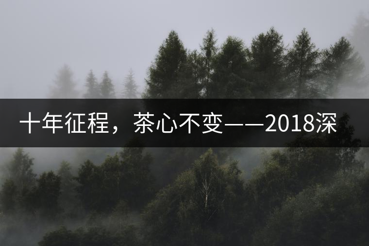 十年征程，茶心不變——2018深圳秋季茶博會12月13日隆重開幕！