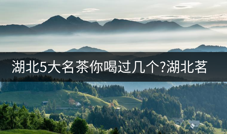 湖北5大名茶你喝過幾個?湖北茗茶的歷史故事?湖北茶哪...湖北5大名茶你喝過幾個？湖北茗茶的歷史故事？湖北茶哪個產(chǎn)地好