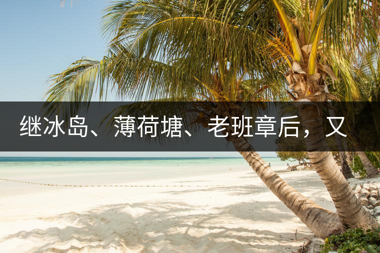 繼冰島、薄荷塘、老班章后，又一個被追捧的山頭茶火了！