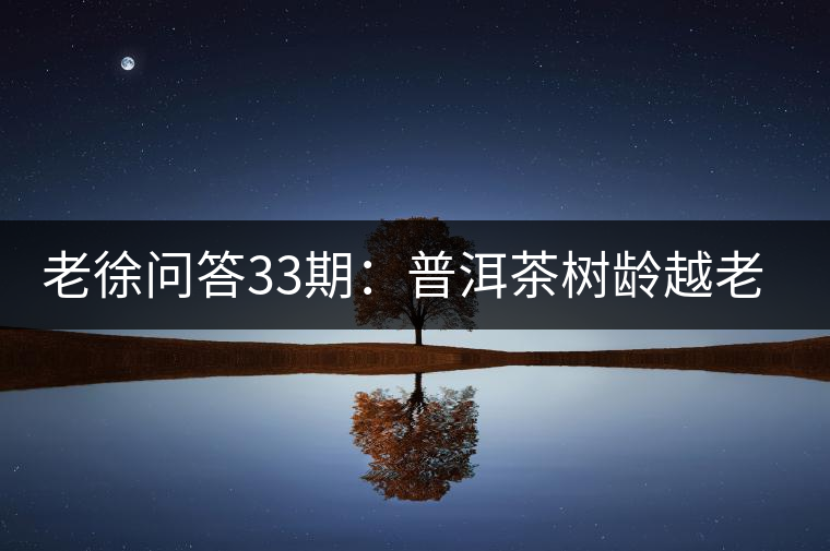 老徐問答33期：普洱茶樹齡越老越貴，那100年樹齡的老班章呢？