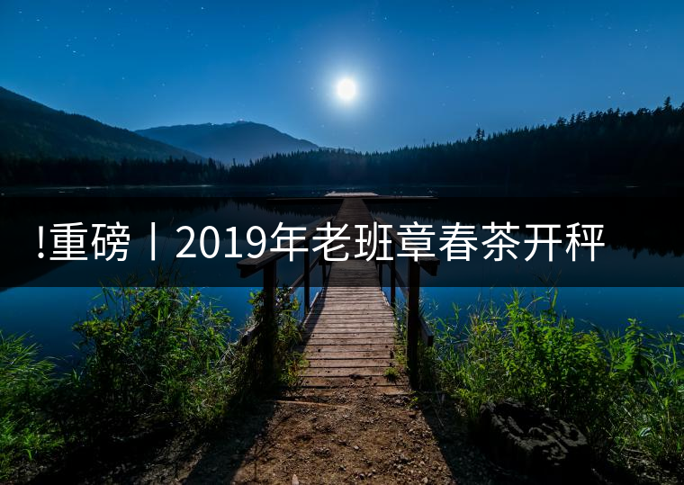 !重磅丨2019年老班章春茶開秤，一筆定價(jià)？如此出人意料！