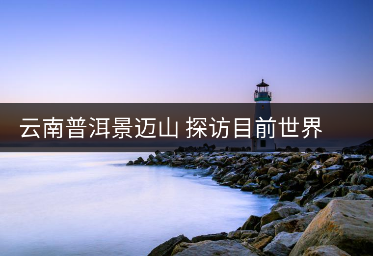 云南普洱景邁山 探訪目前世界上面積最大、年代最久遠(yuǎn)的古茶園