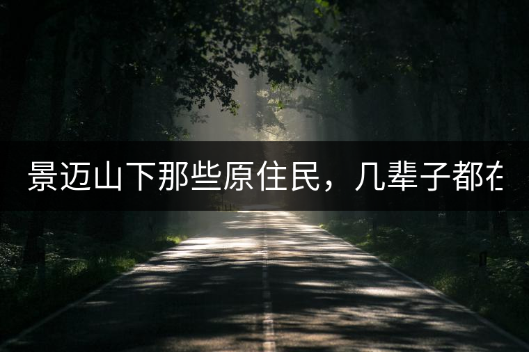 景邁山下那些原住民，幾輩子都在采茶、制茶，才有最...景邁山下那些原住民，幾輩子都在采茶、制茶，才有最好喝的普洱