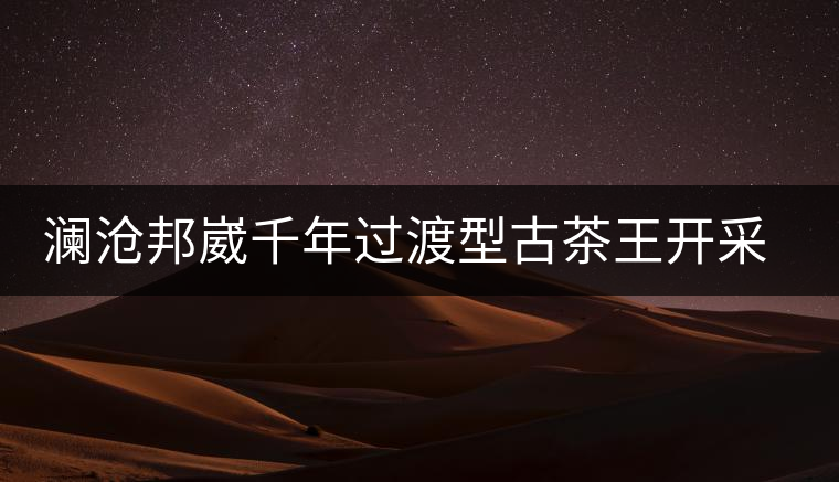 瀾滄邦崴千年過(guò)渡型古茶王開(kāi)采瀾滄邦崴千年過(guò)渡型古茶王開(kāi)采 瀾滄邦崴千年過(guò)渡型古茶王開(kāi)采瀾滄邦崴千年過(guò)渡型古茶王開(kāi)采