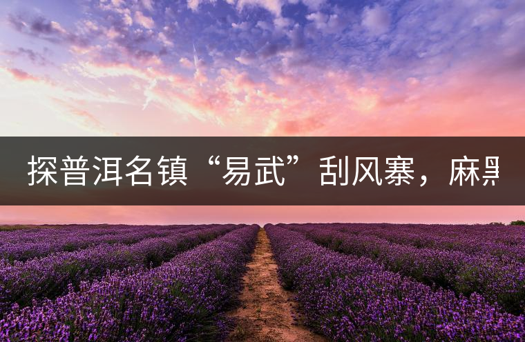 探普洱名鎮(zhèn)“易武”刮風(fēng)寨，麻黑，落水洞!小編親自下...探普洱名鎮(zhèn)“易武”刮風(fēng)寨，麻黑，落水洞！小編親自下手“殺青”