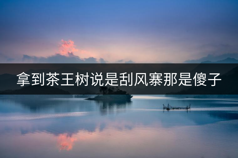 拿到茶王樹說是刮風寨那是傻子 拿到茶王樹說是刮風寨那是傻子