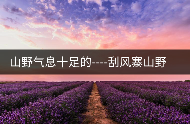 山野氣息十足的----刮風(fēng)寨山野氣息十足的————刮風(fēng)寨 山野氣息十足的----刮風(fēng)寨山野氣息十足的————刮風(fēng)寨