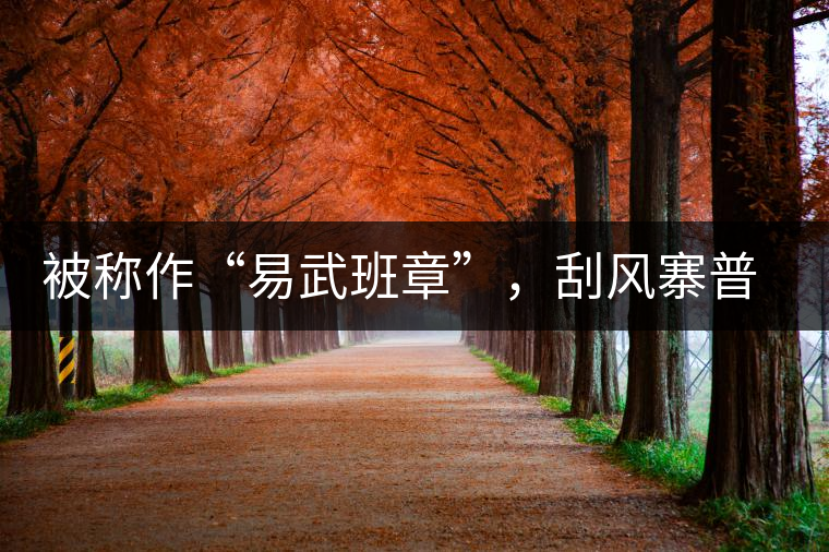 被稱作“易武班章”，刮風(fēng)寨普洱茶是否實(shí)至名歸?被稱作“易武班章”，刮風(fēng)寨普洱茶是否實(shí)至名歸？