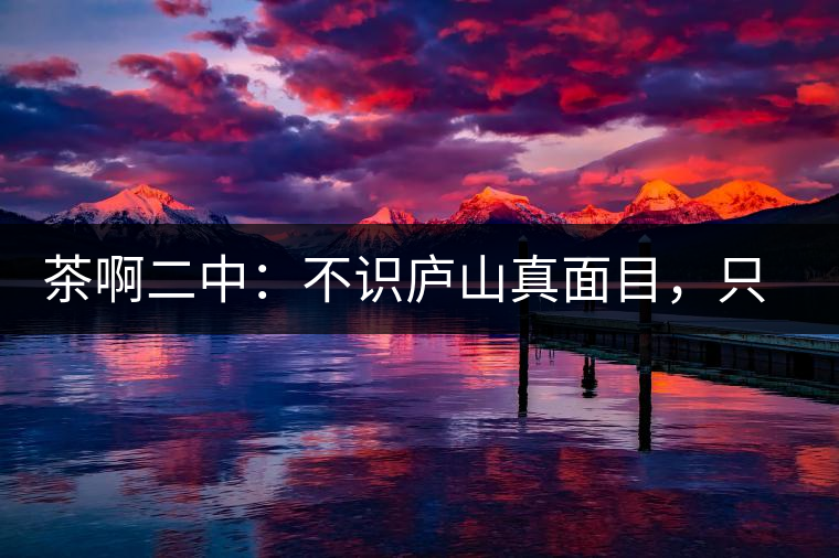 茶啊二中：不識(shí)廬山真面目，只識(shí)彎弓射大雕，賈淳真搞笑