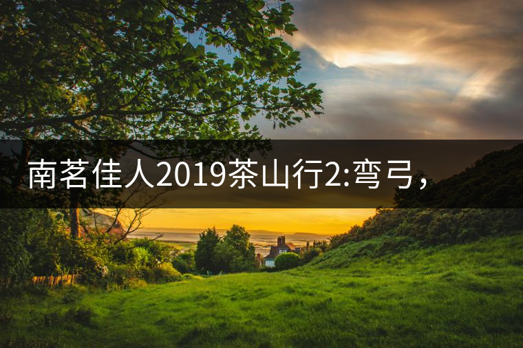 南茗佳人2019茶山行2:彎弓，一路艱辛，只為這有生命...南茗佳人2019茶山行2：彎弓，一路艱辛，只為這有生命厚度的茶！