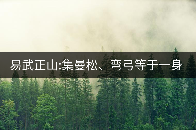 易武正山:集曼松、彎弓等于一身的貴族老黃片，好喝沒得...易武正山：集曼松、彎弓等于一身的貴族老黃片，好喝沒得說