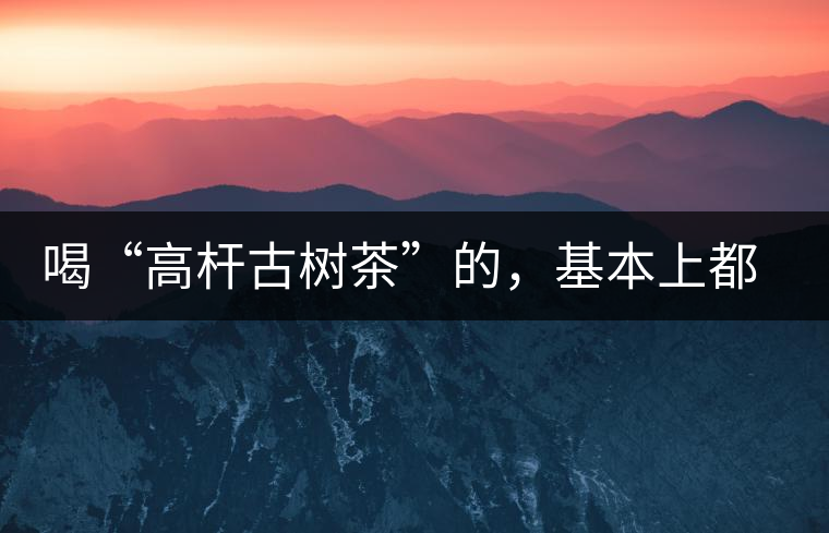 喝“高桿古樹茶”的，基本上都是不懂茶的