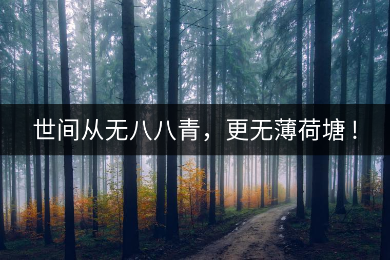 世間從無八八青，更無薄荷塘 !