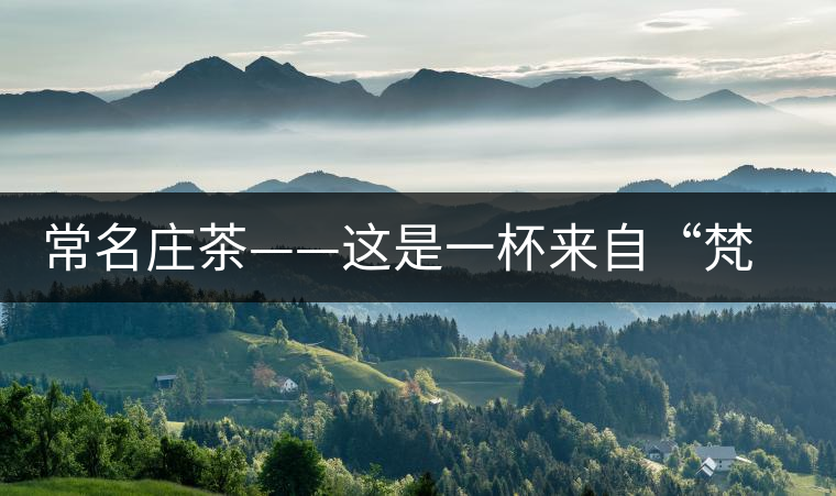 常名莊茶——這是一杯來(lái)自“梵天凈土”的茶