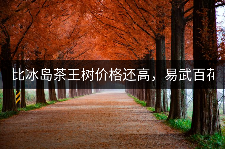 比冰島茶王樹價(jià)格還高，易武百花潭高桿古樹茶以100萬成...比冰島茶王樹價(jià)格還高，易武百花潭高桿古樹茶以100萬成交