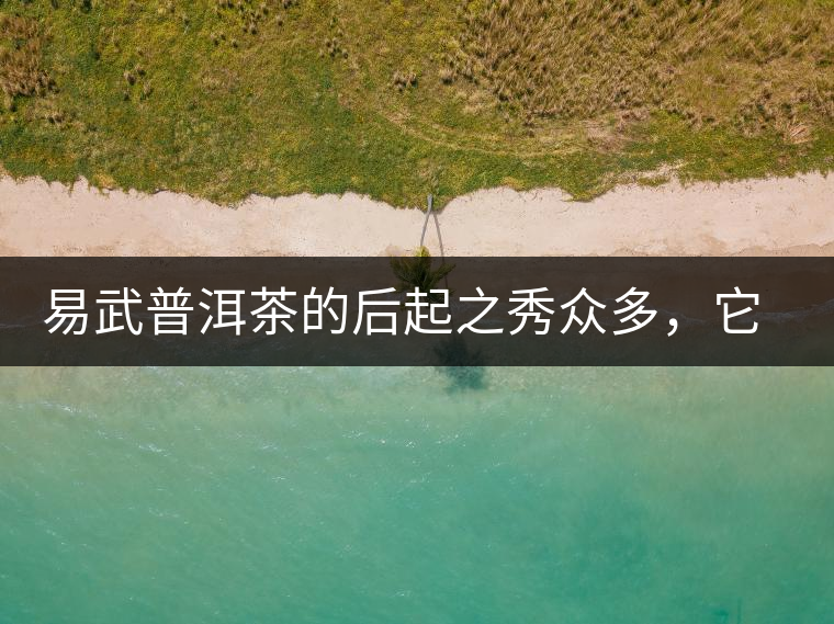 易武普洱茶的后起之秀眾多，它是還沒漲價的一個！