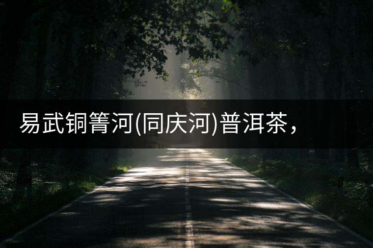 易武銅箐河(同慶河)普洱茶，讓我拜倒的不止它的口感易武銅箐河（同慶河）普洱茶，讓我拜倒的不止它的口感