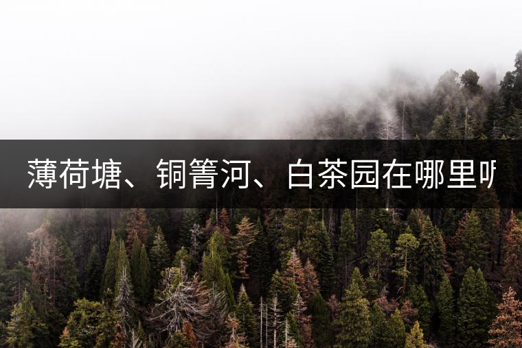 薄荷塘、銅箐河、白茶園在哪里呢?薄荷塘、銅箐河、白茶園在哪里呢？