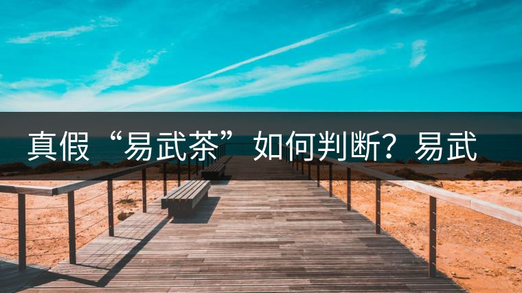 真假“易武茶”如何判斷？易武普洱茶有哪些特點(diǎn)？