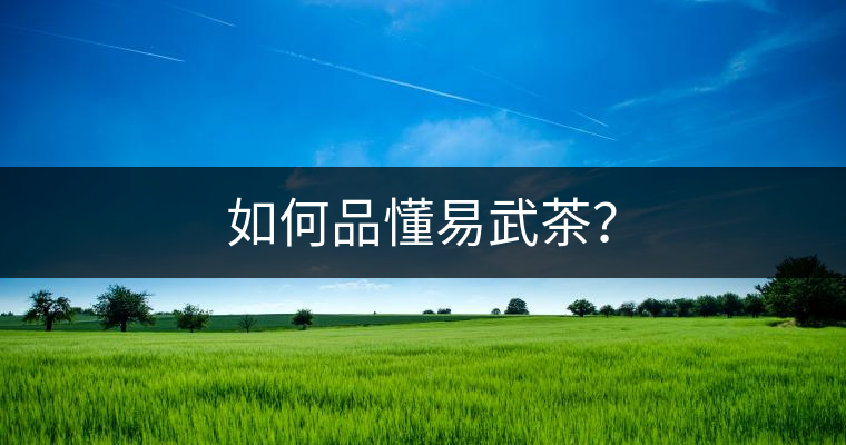 如何品懂易武茶？