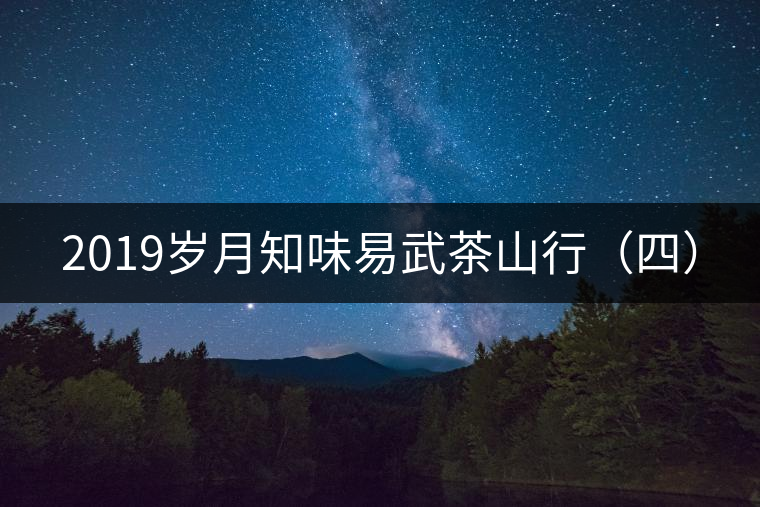 2019歲月知味易武茶山行（四）