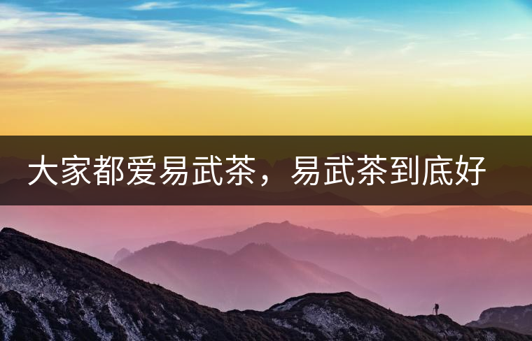 大家都愛易武茶，易武茶到底好在哪兒?大家都愛易武茶，易武茶到底好在哪兒？