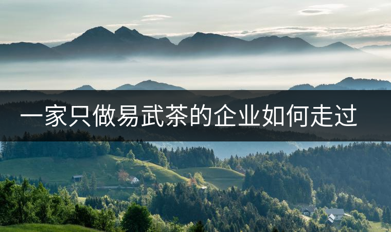 一家只做易武茶的企業(yè)如何走過了十年？